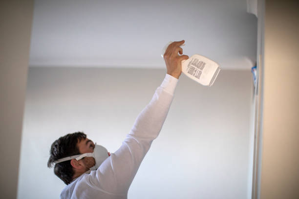 Best Professional Mold Removal  in Georgetown, IL