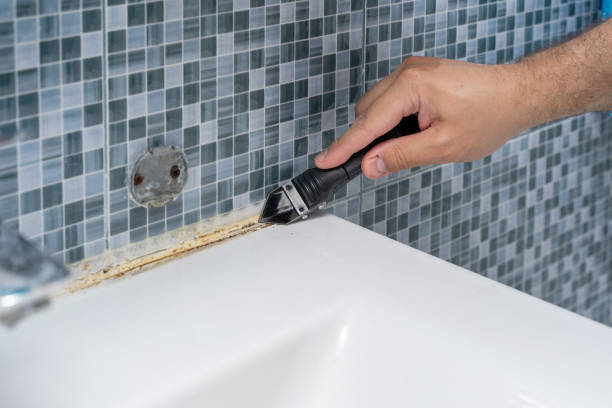 Best Local Mold Removal Service  in Georgetown, IL