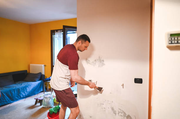 Best Mold Removal and Inspection  in Georgetown, IL